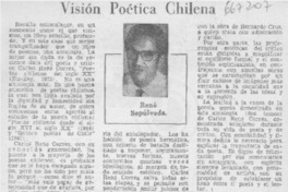 Visión poética chilena