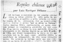 Reptiles chilenos  [artículo] Luis Enrique Délano.