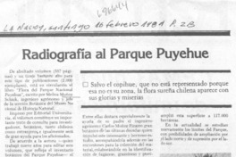Radiografía al paruqe Puyehue.