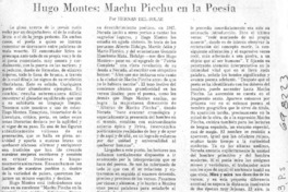 Hugo Montes, Machu Picchu en la poesía
