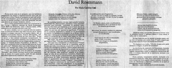 David Rosenmann