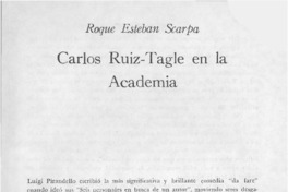 Carlos Ruiz-Tagle en la Academia