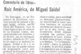 Raíz América, de Miguel Saidel