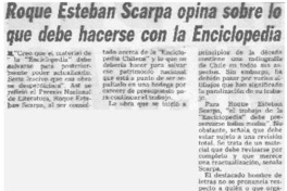 Roque Esteban Scarpa opina sobre lo que debe hacerse con la enciclopedia.