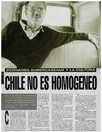 Chile no es homogeneo [entrevistas]