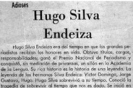 Hugo Silva Endeiza