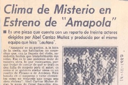 Clima de Ministerio en estreno de "Amapola".
