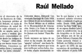 Raúl Mellado