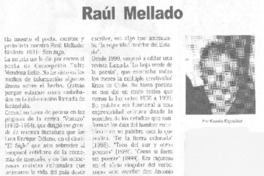 Raúl Mellado