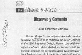 Observo y comento  [artículo] Julio Ferghman Campos