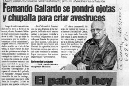 Fernando Gallardo se pondrá ojotas y chupalla para criar avestruces  [artículo]