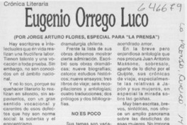 Eugenio Orrego Luco  [artículo] Jorge Arturo Flores Pinochet