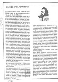 "Cable a tierra"  [artículo] Ariel Fernández