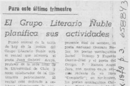 Grupo Literario Ñuble planifica sus actividades.