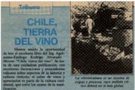 Chile, tierra del vino