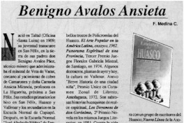 Benigno Avalos Ansieta