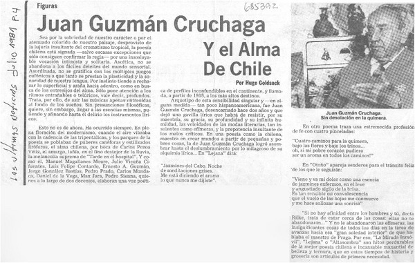 Juan Guzmán Cruchaga y el alma de Chile