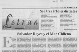 Salvador Reyes y el mar chileno
