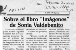 Sobre el libro "Imágenes" de Sonia Valdebenito  [artículo].