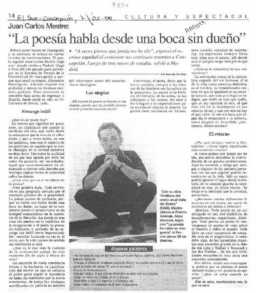 "La poesía habla desde una boca sin dueño"  [artículo] Marcelo Sánchez.