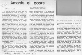 Amarás el cobre  [artículo] Jaime Darío Baeza M.
