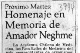 Homenaje en memoria de Amador Neghme  [artículo].