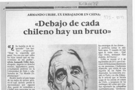 "Debajo de cada chileno hay un bruto"  [artículo] Carolina Díaz.