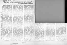 "Entre el desarraigo y el dolor"  [artículo] Wellington Rojas Valdebenito.