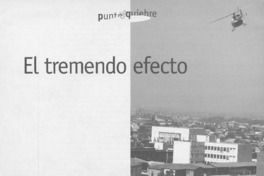 El tremendo efecto  [artículo] Sandra Bustos