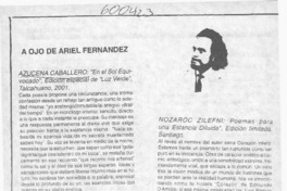 A ojo de Ariel Fernández  [artículo]