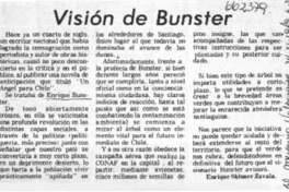 Visión de Bunster  [artículo] Enrique Skinner Zavala.