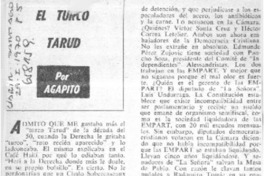 El Turco Tarud  [artículo] Agapito.