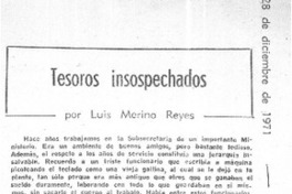 Tesoros insospechados  [artículo] Luis Merino Reyes.