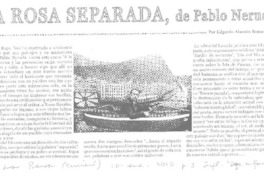 La rosa separada, de Pablo Neruda.  [artículo] Edgardo Alarcón Romero.