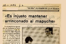 "Es injusto mantener arrinconado al mapuche"  [artículo].