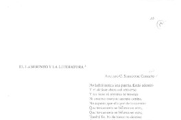 El laberinto y la literatura  [artículo] Augusto Sarrochi Carreño C.