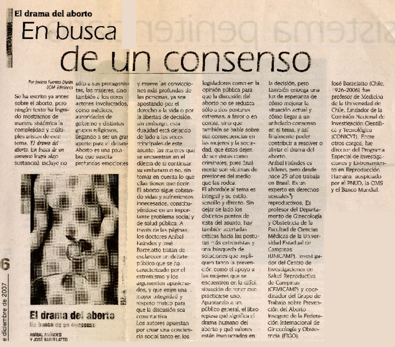 En busca de un consenso  [artículo]Javiera Fuentes Durán.
