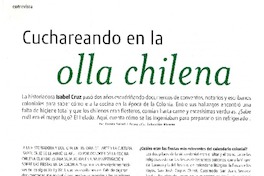 Cuchareando en la olla chilena (entrevista)  [artículo] Carola Solari.