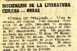 Diccionario de la literatura chilena.  [artículo]
