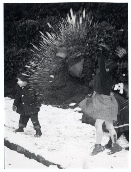 Movimiento congelado [de dos niños jugando en la nieve]