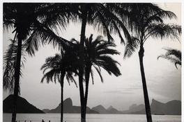 Río de Janeiro visto desde playa en Niteroi