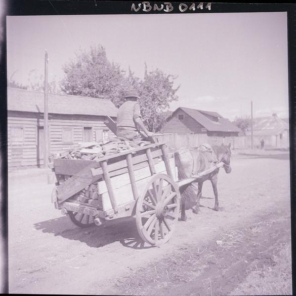 [Hombre transportando madera en una carreta tirada por un caballo