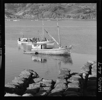 [Iansa (Chile) : Lanchas con sus pescadores y en la orilla sacos preparados para su transporte]