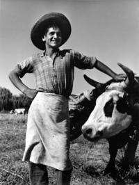 Joven Campesino posa junto a un toro