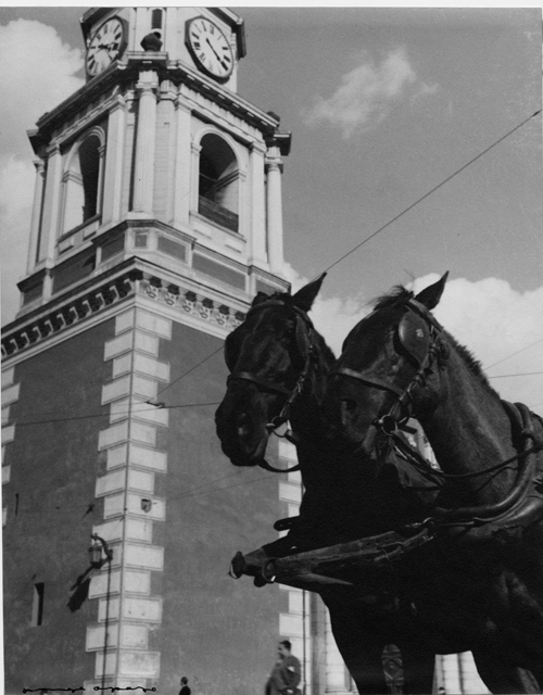 Detalle de la torre de la iglesia de San Francisco, en primer plano dos caballos de tiro
