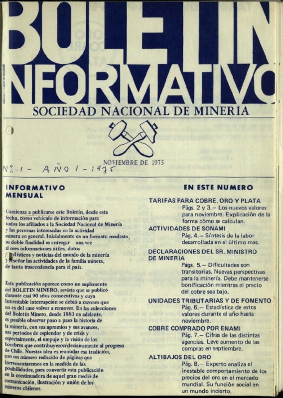 Boletín informativo Sociedad Nacional de Minería.