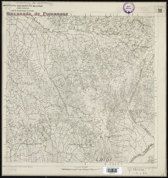 Rinconada de Pumanque  [material cartográfico] Instituto Geográfico Militar de Chile. Carta de Estado Mayor.