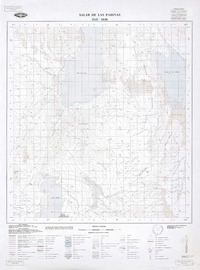Salar de Las Parinas 2545 - 6830 [material cartográfico] : Instituto Geográfico Militar de Chile.