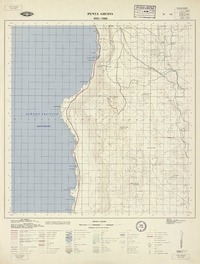 Punta Gruesa 2015 - 7000 [material cartográfico] : Instituto Geográfico Militar de Chile.