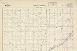 Estación Salinas 2300 - 6930 [material cartográfico] : Instituto Geográfico Militar de Chile.